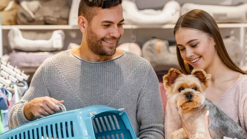 Pet Shops 4 dicas para se destacar no mercado